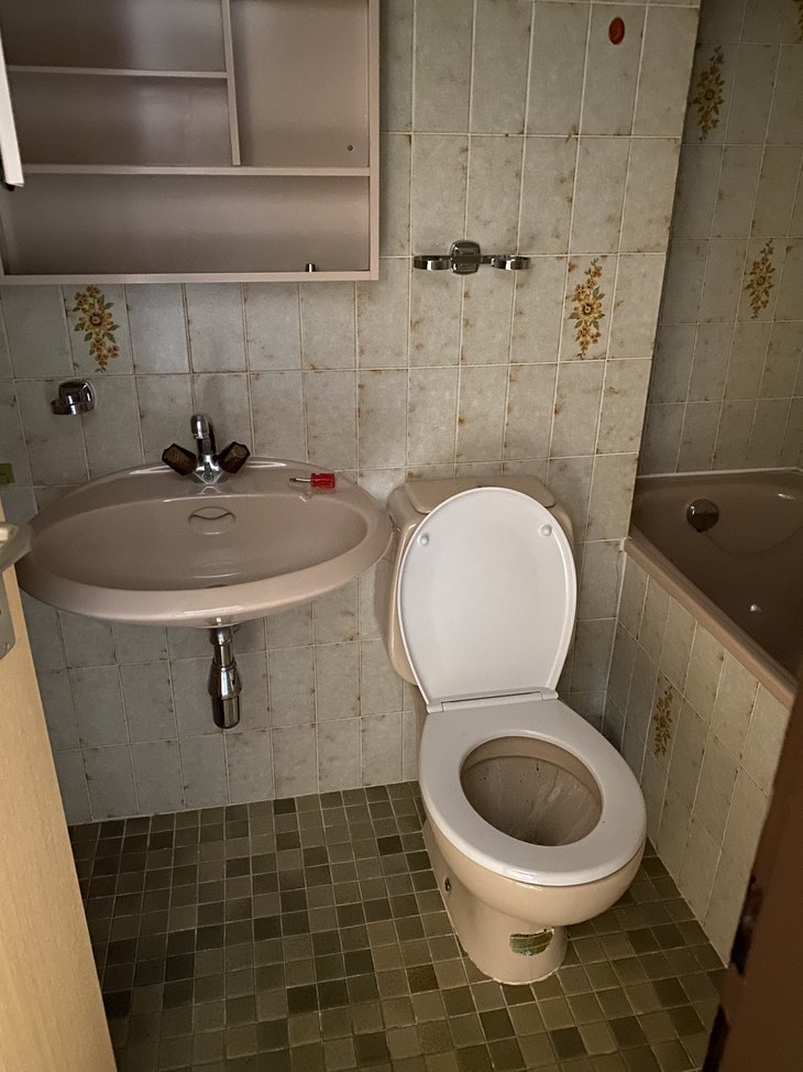 Photo intérieur salle d'eau et WC