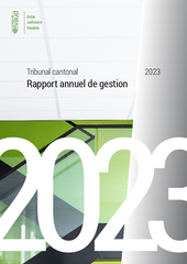 Rapport annuel complet au format PDF