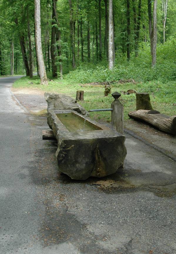 Fontaine en forêt