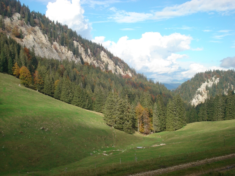 Vue de La Vaux