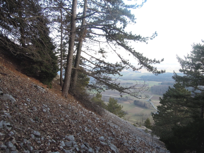 Vue des Rapilles