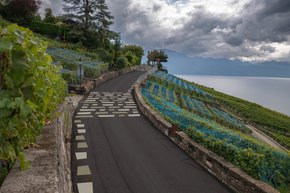 la chaussée vue de plus près