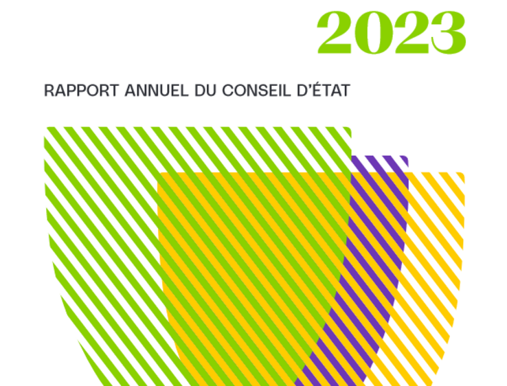 Image de couverture du rapport annuel du Conseil d'Etat
