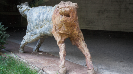 Intervention artistique Gymnase de Burier