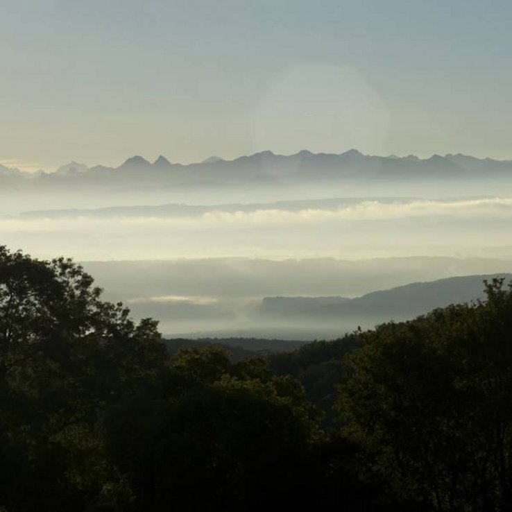 couche de smog au-dessus d'une forêt. au loin, des montagnes.