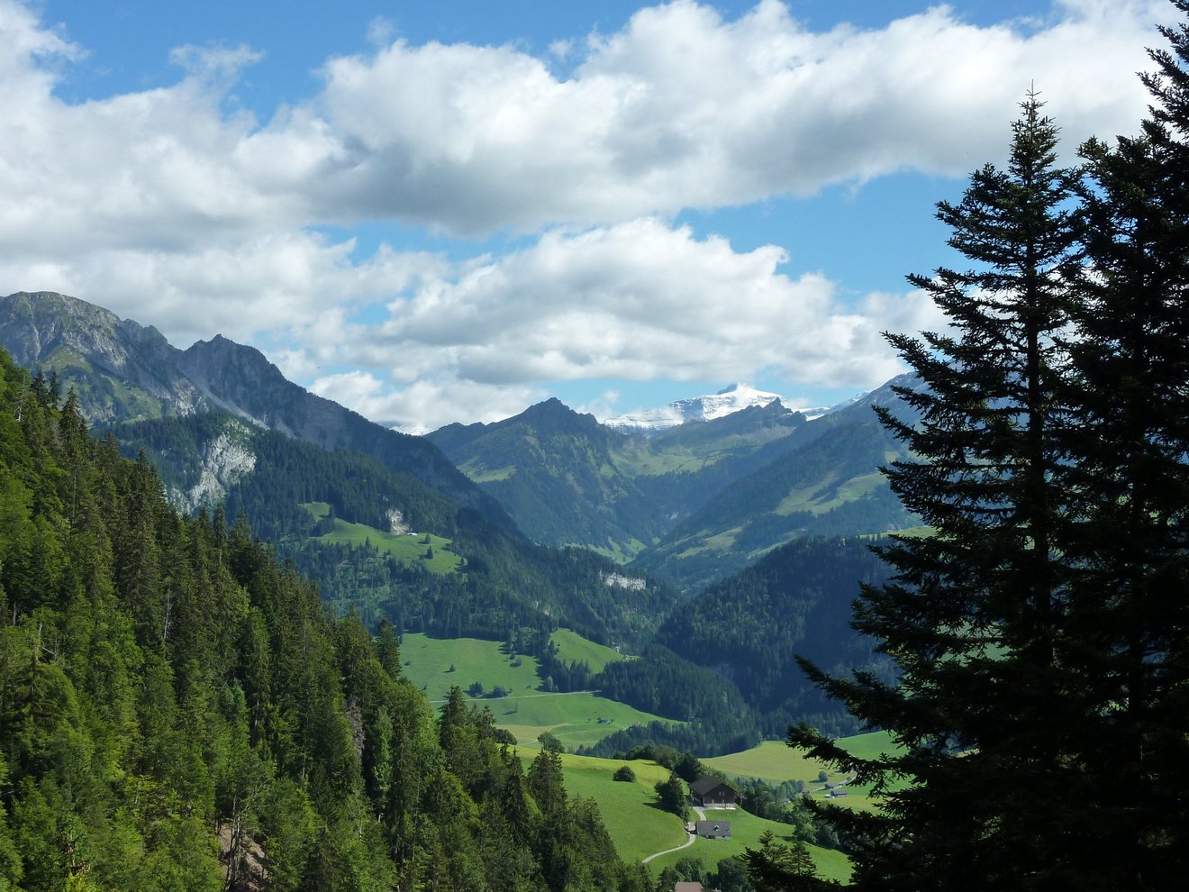 Paysage alpin à Château-d'Oex