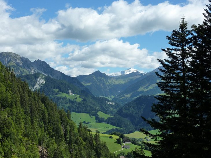Paysage alpin à Château-d'Oex