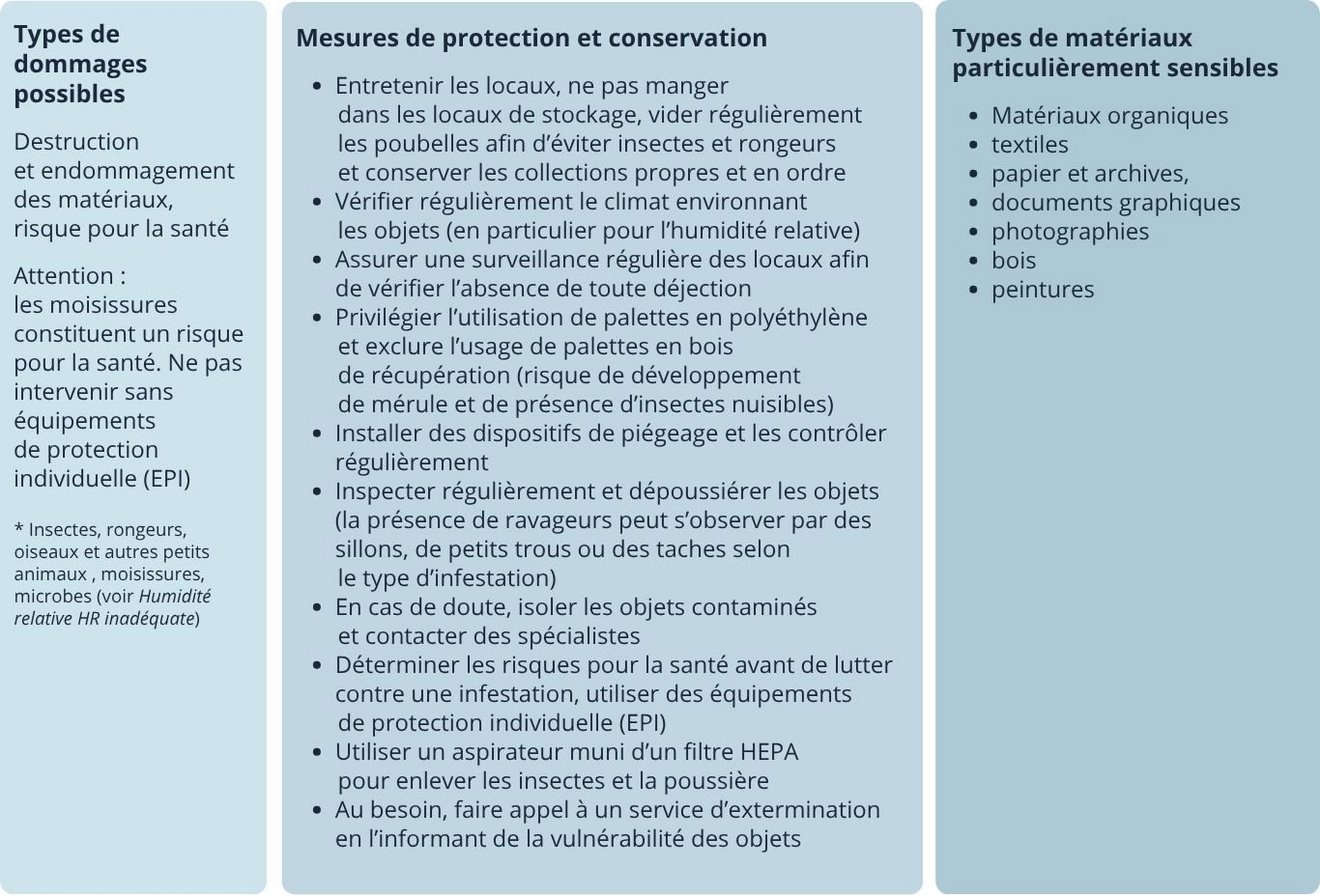 Types de dommages possibles Destruction et endommagement des matériaux, risque pour la santé. Attention : les moisissures constituent un risque pour la santé. Ne pas intervenir sans équipements de protection individuelle (EPI). Mesures de protection et conservation : entretenir les locaux, ne pas manger dans les locaux de stockage, vider régulièrement les poubelles afin d’éviter insectes et rongeurs et conserver les collections propres et en ordre ; vérifier régulièrement le climat environnant les objets (en particulier pour l’humidité relative) ; assurer une surveillance régulière des locaux afin de vérifier l’absence de toute déjection ; privilégier l’utilisation de palettes en polyéthylène et exclure l’usage de palettes en bois de récupération (risque de développement de mérule et de présence d’insectes nuisibles), Installer des dispositifs de piégeage et les contrôler régulièrement , inspecter régulièrement et dépoussiérer les objets (la présence de ravageurs peut s’observer par des sillons, de petits trous ou des taches selon le type d’infestation), en cas de doute, isoler les objets contaminés et contacter des spécialistes, déterminer les risques pour la santé avant de lutter contre une infestation, utiliser des équipements de protection individuelle (EPI) ; utiliser un aspirateur muni d’un filtre HEPA pour enlever les insectes et la poussière ; au besoin, faire appel à un service d’extermination en l’informant de la vulnérabilité des objets. Tape de matériaux particulièrement sensibles : matériaux organiques, textiles, papier et archives, documents graphiques, photographies, bois, peintures. *Insectes, rongeurs, oseaux et autres petits animaux, moisissures, microbes (voir Humidité relative HR inadéquate).