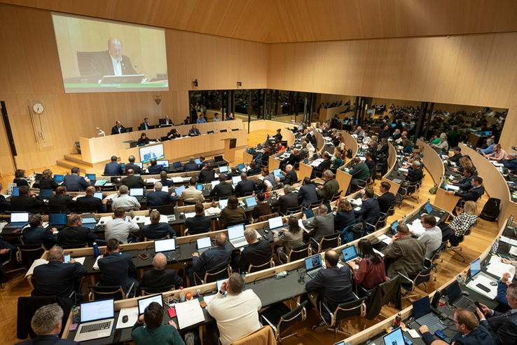 Le Grand Conseil en séance