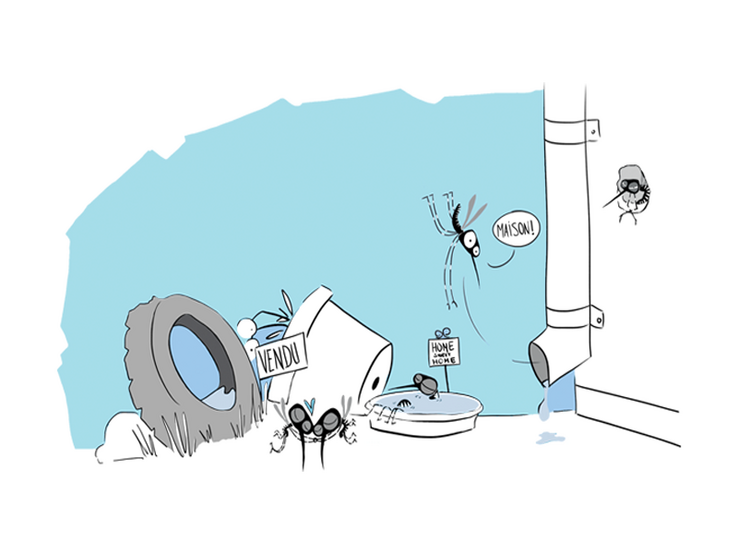 Illustration de la campagne: un moustique tigre s’écrie "Maison!" en volant près d'une gouttière, d'un vieux pneu et d'une soucoupe de plante d'ornement.