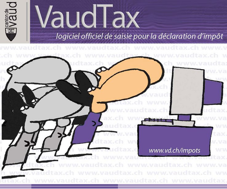 Visuel du logiciel "VaudTax" (dessin de Mix & Remix)