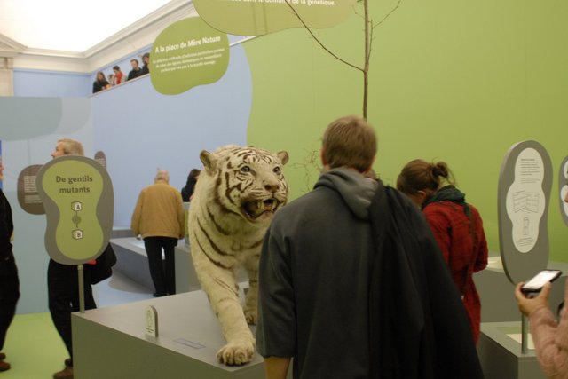 Public visitant l'expo Oh my God! au Palais de Rumine (Musée de zoologie)