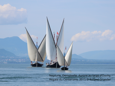 Voile latine