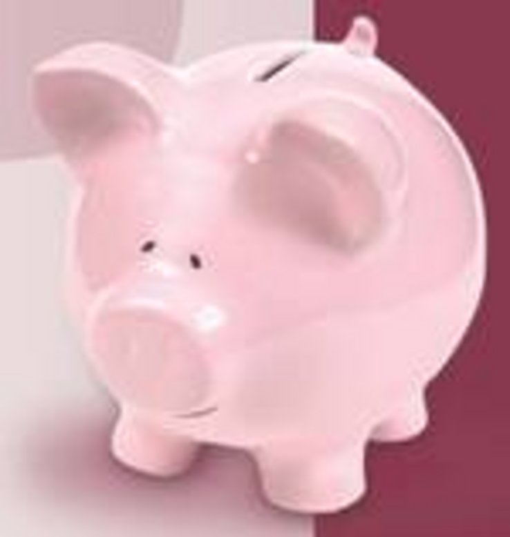 image d'une tirelire en forme de cochon