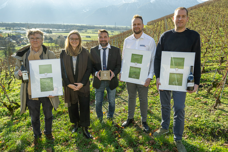 Les personnes posent dans une vigne d'Yvorne en tenant leurs distinctions. Derrière, le paysage de la plaine du Rhône.