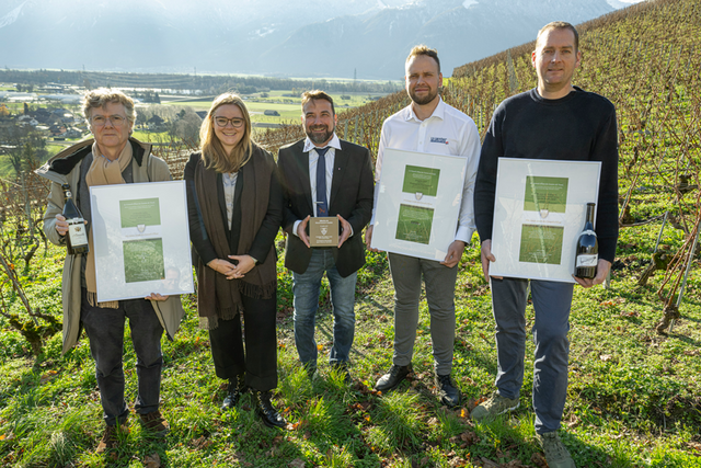 Les personnes posent dans une vigne d'Yvorne en tenant leurs distinctions. Derrière, le paysage de la plaine du Rhône.