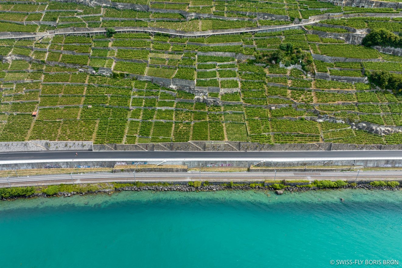 Plat du Dézaley - © SWISS-FLY Boris Bron