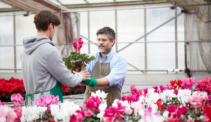 Un apprenti horticulteur avec son maître d'apprentissage dans une serre. L'un passe un plante à l'autre.