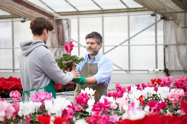 Un apprenti horticulteur avec son maître d'apprentissage dans une serre. L'un passe un plante à l'autre.