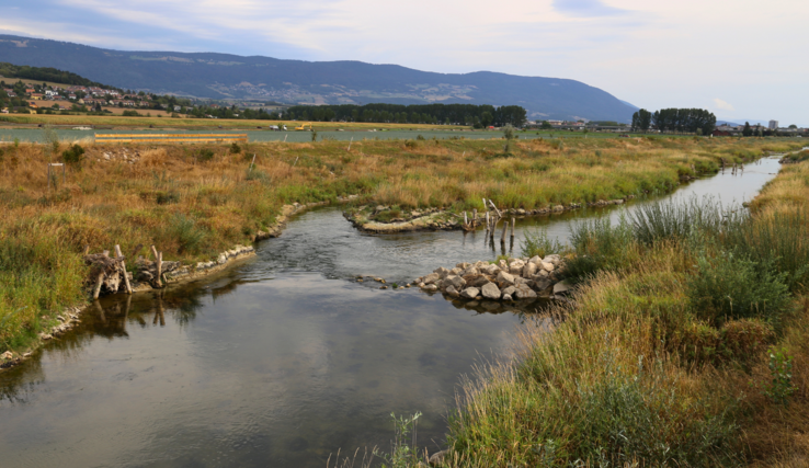 Vue de la Thièle après travaux de renaturation