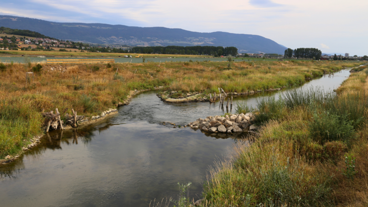 Vue de la Thièle après travaux de renaturation
