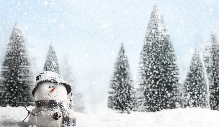 dessin d'un bonhomme de neige coiffé d'un vieux chapeau sur fond de sapins enneigés