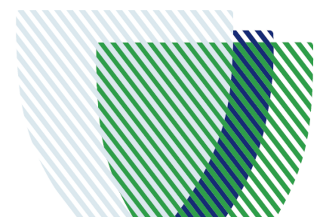 couverture du rapport (travail graphique)