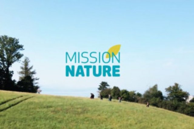 mesure d'insertion mission nature