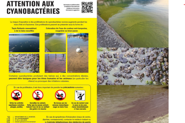 Affiche de prévention