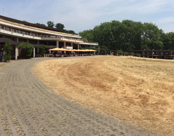 Champs asséchés à Dorigny (c) L.Borremans