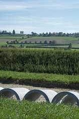 Septembre 2015 - Route Penthaz - Une route à la campagne