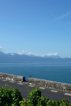 Vue des marquages