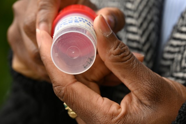 CP_moustique_Tigre_Nyon_25_5_2023 specimen de moustique tigre