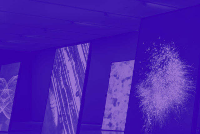 Image d'accompagnement prétexte