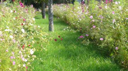 Aménagement paysager COFOP