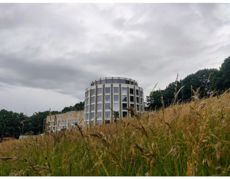 Tribunal cantonal