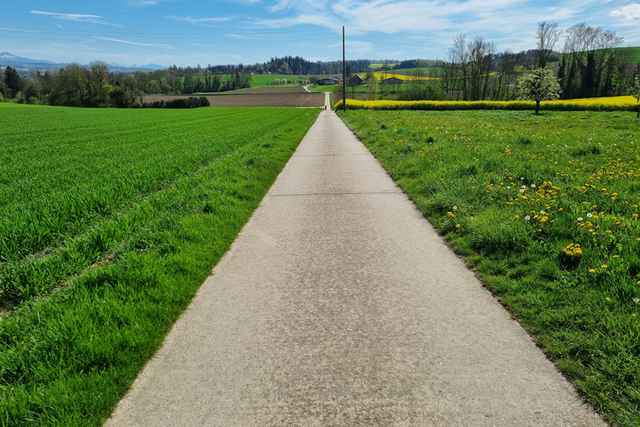Un chemin de remaniement parcellaire dans la campagne vaudoise
