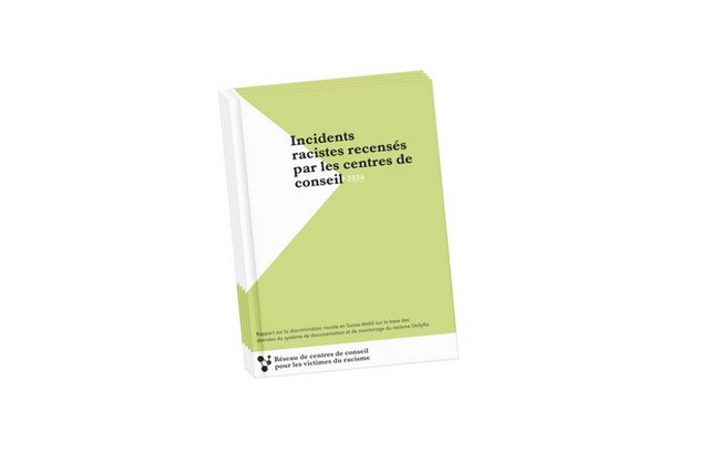 Rapport incident raciste 2024