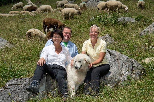 Les trois personnages posent dans un pâturage avec le chien; derrière, on voit des moutons.