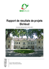 rapport au format PDF