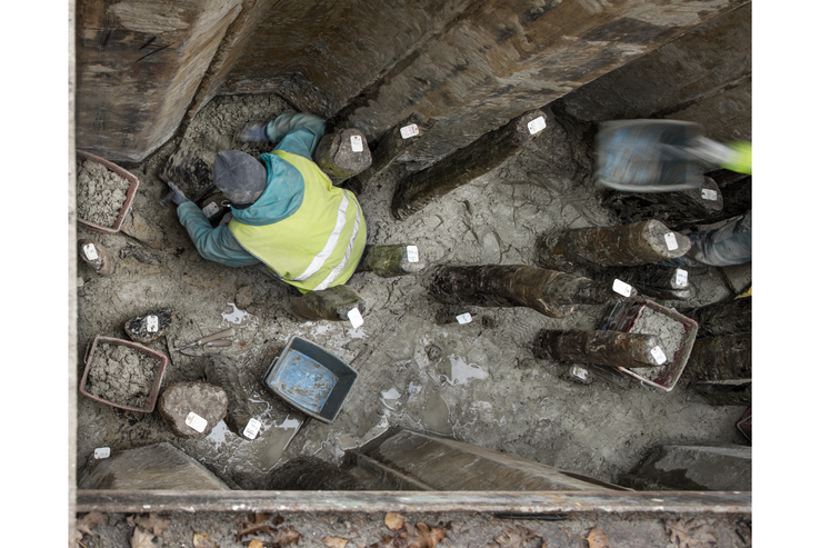 La fouille en tranchée à Corclettes les Pins. Fouille fine d’une couche archéologique en présence de nombreux pilotis. Photo: © Yves André.