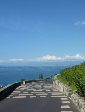 Vue des marquages