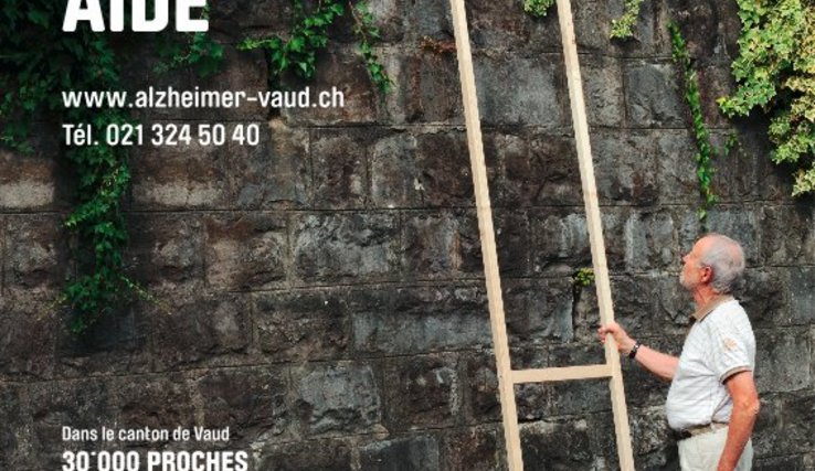image de la campagne: un homme au pied d'une échelle à laquelle manquent de nombreux échelons