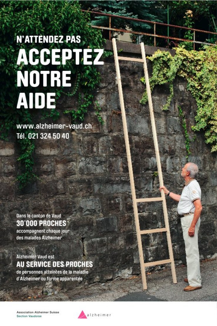 image de la campagne: un homme au pied d'une échelle à laquelle manquent de nombreux échelons