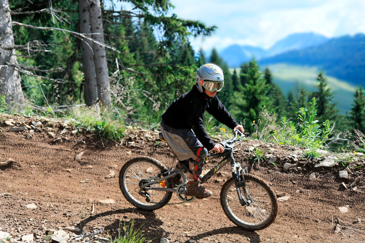 un homme sur un VTT descend une pente dans une forêt. au loin, les montagnes