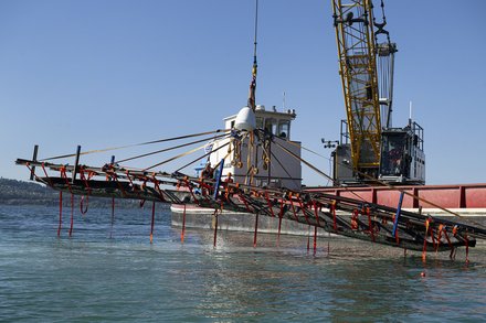 Pirogue sortie du lac de Neuchâtel
