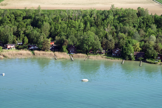 Vue d'avion de quelques petits cabanons situés directement sur la rive, dans le cordon boisé. Photo prise en 2009.