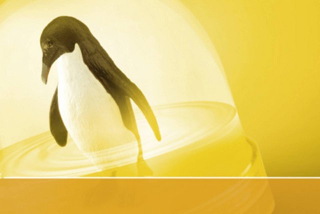 Affiche prévention canicule