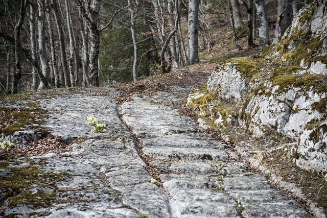 vue d'une voie à ornières entre Vuiteboeuf et Sainte-Croix