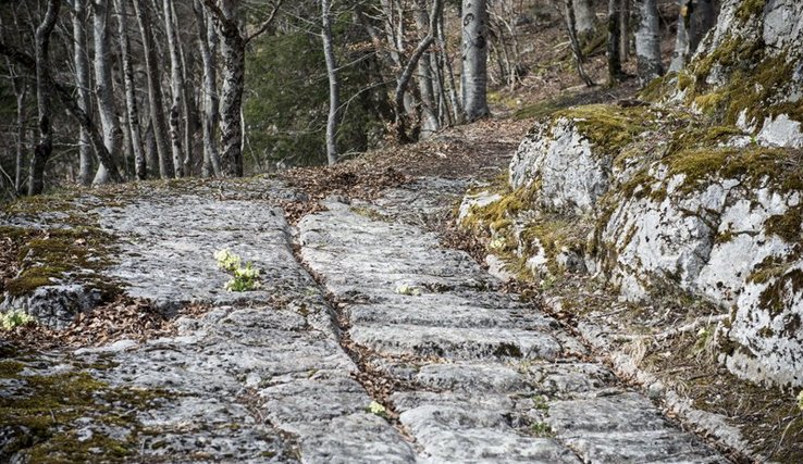 vue d'une voie à ornières entre Vuiteboeuf et Sainte-Croix